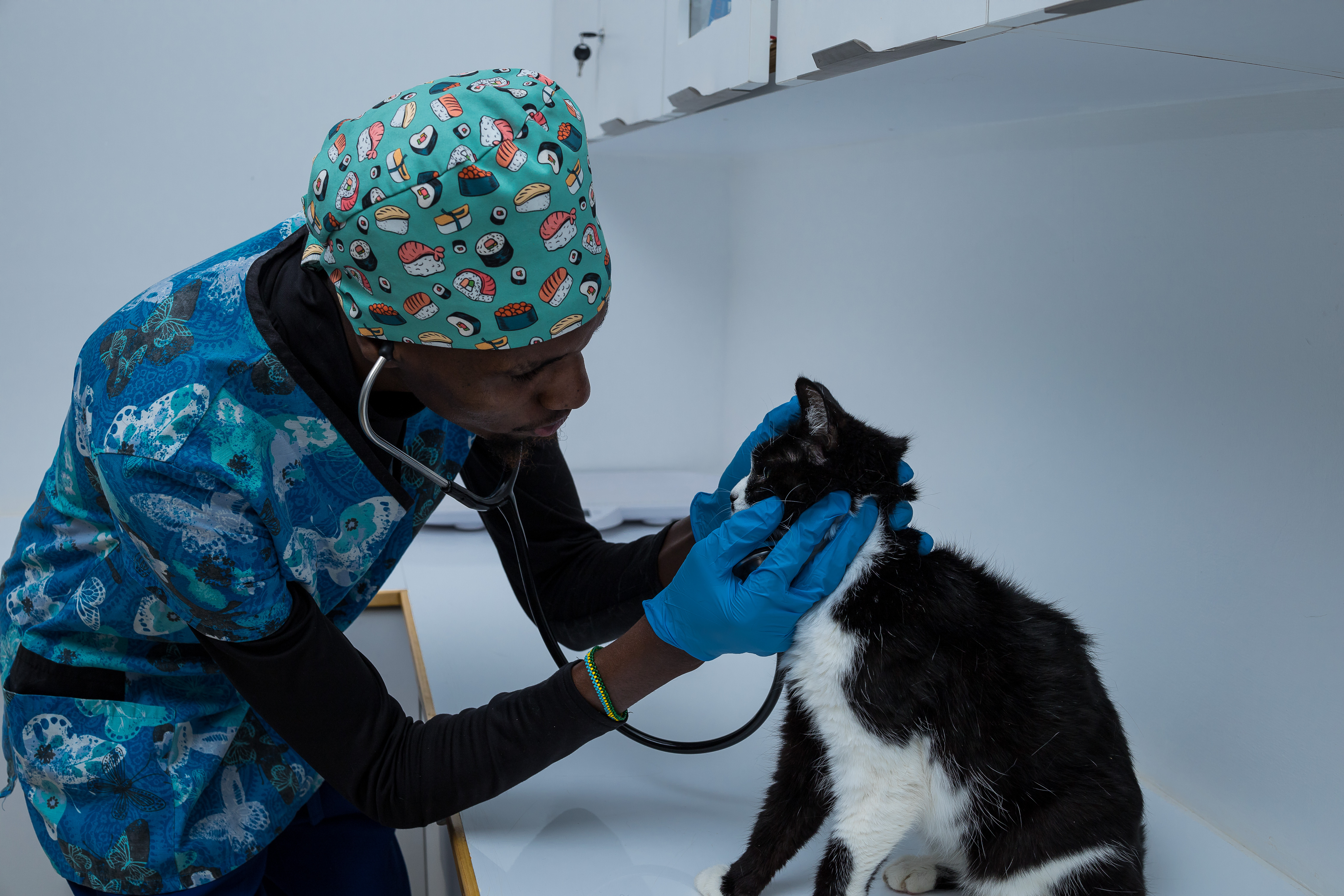 Mobivet Veterinary Clinic gallery photo